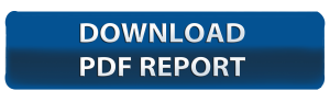 DOWNLOAD PDF REPORT BUTTON-BLUE